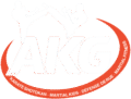 akgteam.fr